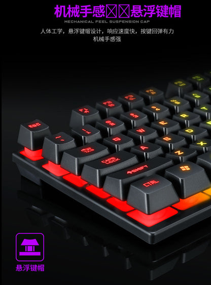 Lei Wolf T20 Keyboard Computer Backlight Office Character Luminous Single Keyboard Cross-Border Amazon Lazada Waterproof