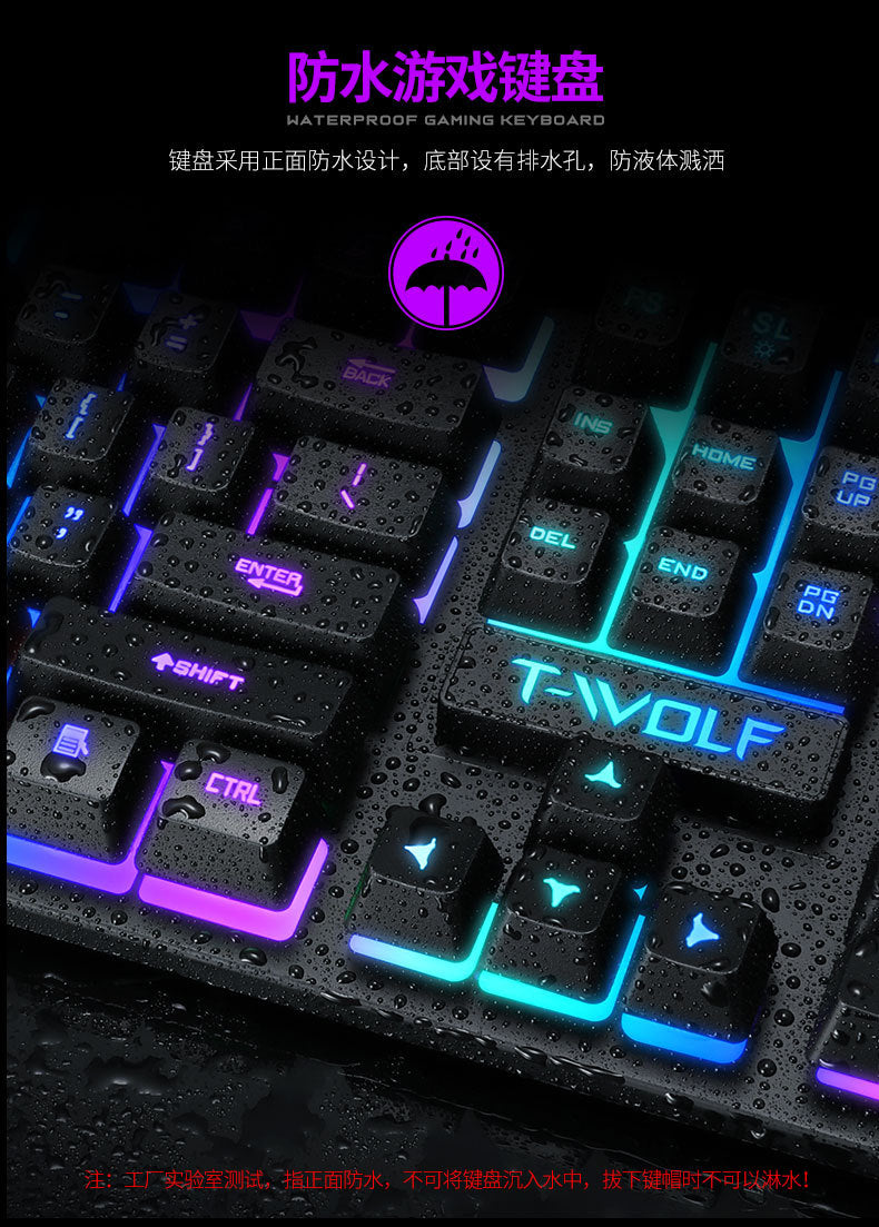 Lei Wolf T20 Keyboard Computer Backlight Office Character Luminous Single Keyboard Cross-Border Amazon Lazada Waterproof