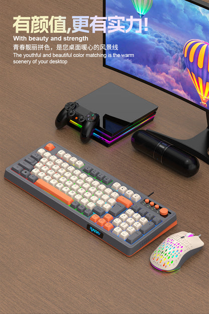 RAIKU Lei Kui K98/T98 customized game keyboard and mouse suit three-color wired luminous desktop 98 keys